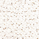 3form Europe Asha Ecoresin™ panel Material: Plastics / Synthetics Material: Recycled material Wall panels