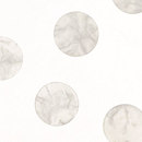3form Europe Capiz Random Ecoresin™ panel Material: Plastics / Synthetics Material: Recycled material Wall panels
