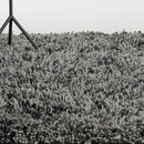 Grass Rug grey Hay