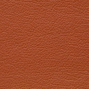 Regent 0035 PU cuir BUVETEX INT.