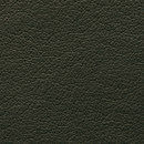 Regent 0317 PU cuir BUVETEX INT.
