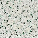 BLOOM White FueraDentro
