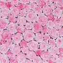 BLOOM Pink FueraDentro