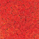 BLOOM Red FueraDentro