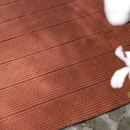 Ray Paola Lenti