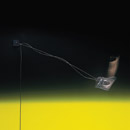 Ingo Maurer Los Minimalos Tres Lampade a parete