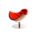 Shelley Strictly Design