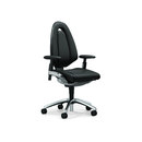 giroflex giroflex 757-8293 Büro- / Objektsitzmöbel Büromöbel / Arbeitsplätze