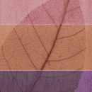 Refin Eco-Leader Foglie 1 (Mix 3) Piastrella Ceramica Ceramica/argilla: piastrelle Piastrelle per pareti