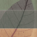Refin Eco-Leader Foglie 2 (Mix 3) Piastrella Ceramica Ceramica/argilla: piastrelle Piastrelle per pareti