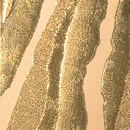 Refin Tagli d'Autore TDA Gold Fliese Keramik/Ton: Wandfliesen Material: Keramik Wandbilder / Wall Art Wandfliesen