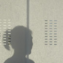 Wood & Washi Perforation Paper / Cardboard Wallcoverings / Wallpaper