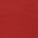 Regent 0041 PU leather BUVETEX INT.