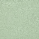 Regent 6024 PU leather BUVETEX INT.