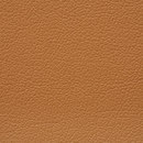 Regent 0039 PU leather BUVETEX INT.