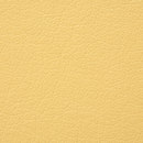Regent 6039 PU leather BUVETEX INT.