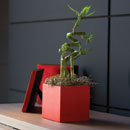 Vondom Nano Cubo Accessoires d'habitat / de bureau Aménagement d'espaces verts