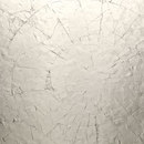 Homapal 825/350 Alu Frozen Champagne Laminates / Composites Wall panels