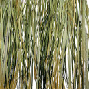 3form Europe Bear Grass Ecoresin™ Paneel Material: Kunststoffe Material: Recyclingmaterial Wandpaneele