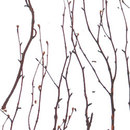3form Europe-Birch Ecoresin™ panel