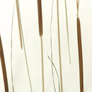 3form Europe Creekside glass Material: Glass Material: Laminates / Composites Wall panels