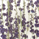 3form Europe Larkspur Glas Material: Glas Material: Laminate / Verbundwerkstoffe Wandpaneele