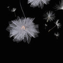 arturo alvarez Fluo FL04 Suspended lights