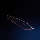 Quasar Cobra Pendelleuchten