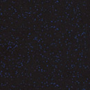 Westag & Getalit AG GetaCore® Grob GC1184 Mineral composite