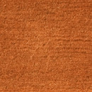 Tibarto 100 AW1737 Domaniecki