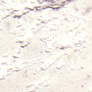 Volimea GmbH & Cie. KG VOLIMEA 00 no glaze Wall coatings / paints