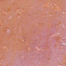 VOLIMEA 10 nacre Volimea GmbH & Cie. KG