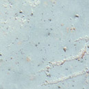 VOLIMEA 25 no glaze Volimea GmbH & Cie. KG