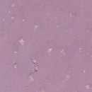VOLIMEA 34 no glaze Volimea GmbH & Cie. KG