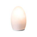 Neoz Lighting Egg Garden / Terrace lights Special lights Table lights