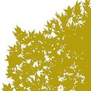 Bruag Perforation Typ 10300-1 Ahorn Architectural screens Facade systems / Cladding systems Material: Wood / Wood fibres Wall panels