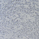Colourwash L0006 W5887 Armourcoat
