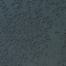 Colourwash L0402 W5895 Armourcoat