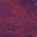 Dalsouple DalMarbre Rouge Griotte Floor tiles Natural-rubber flooring Rubber flooring