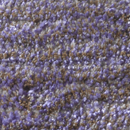 Mystique 170130 Carpet Sign