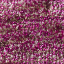 Mystique 170170 Carpet Sign