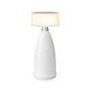 Owl 2 Tall Neoz Lighting