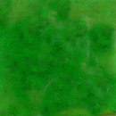 Bottle Alley Glass LEAF_4_W glass wall tile Azulejos de pared Reciclados Vidrio
