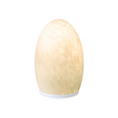 Egg Fritted Neoz Lighting