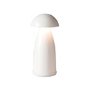 Owl 1 Neoz Lighting