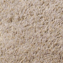 Linteloo Beach Carpet Carpets / Rugs