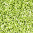 KYMO SG Polly Premium Outdoor Edition lime green Tapis d'extérieur