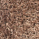 SG Polly Outdoor Edition chocolate KYMO