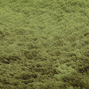 SG Airy Premium pitch green KYMO