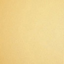 Evonik Röhm PLEXIGLAS® Sterling Gold 2M802 C2 Polymers Wall panels